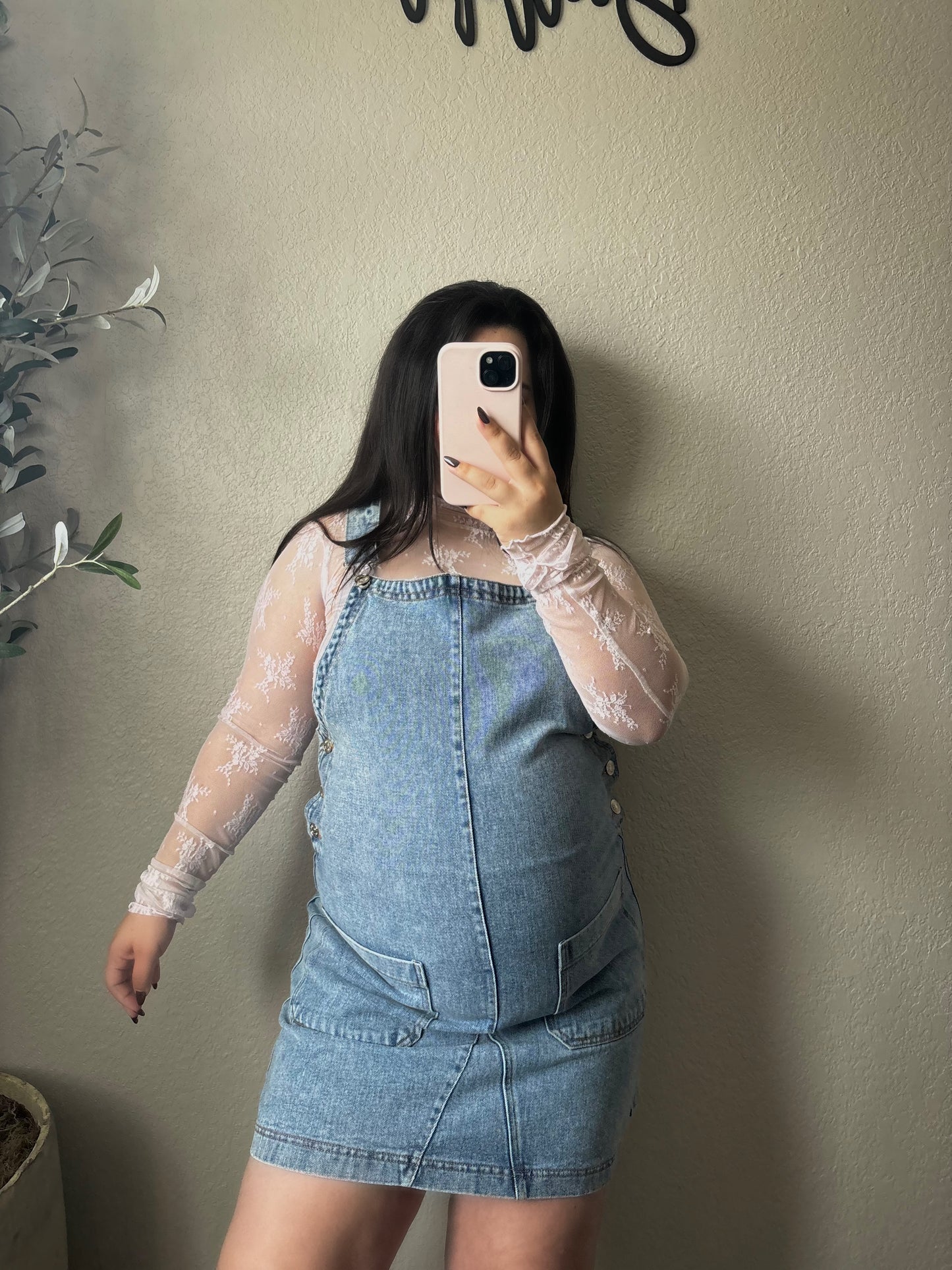 Everly Denim Overall Dress