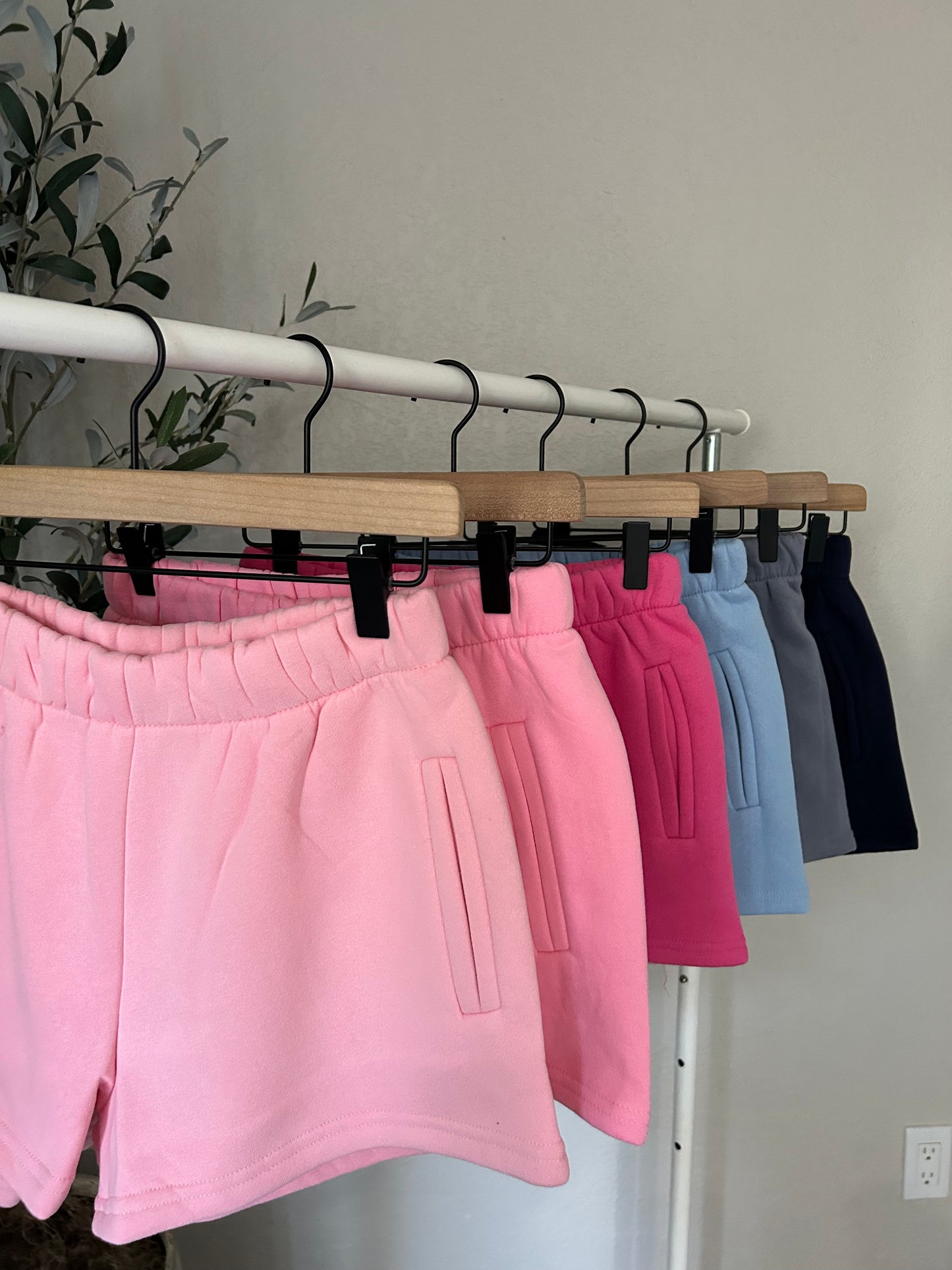 Ari Shorts (More Colors)