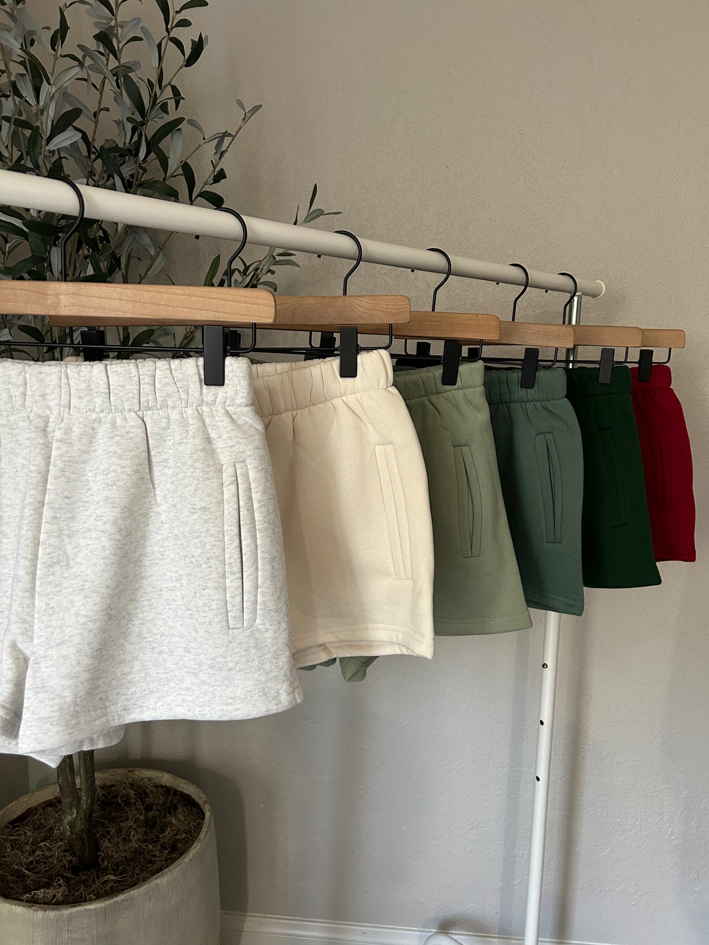 Ari Shorts (More Colors)