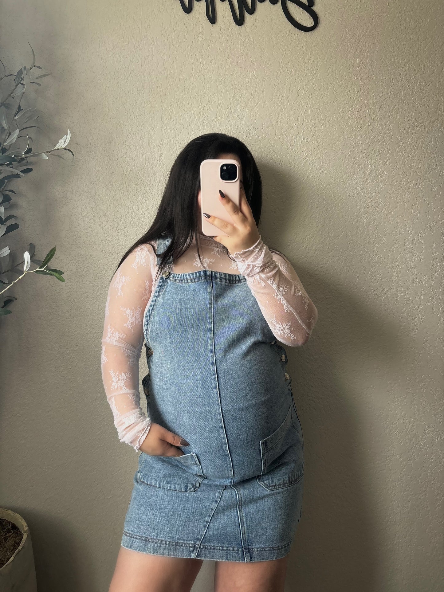 Everly Denim Overall Dress