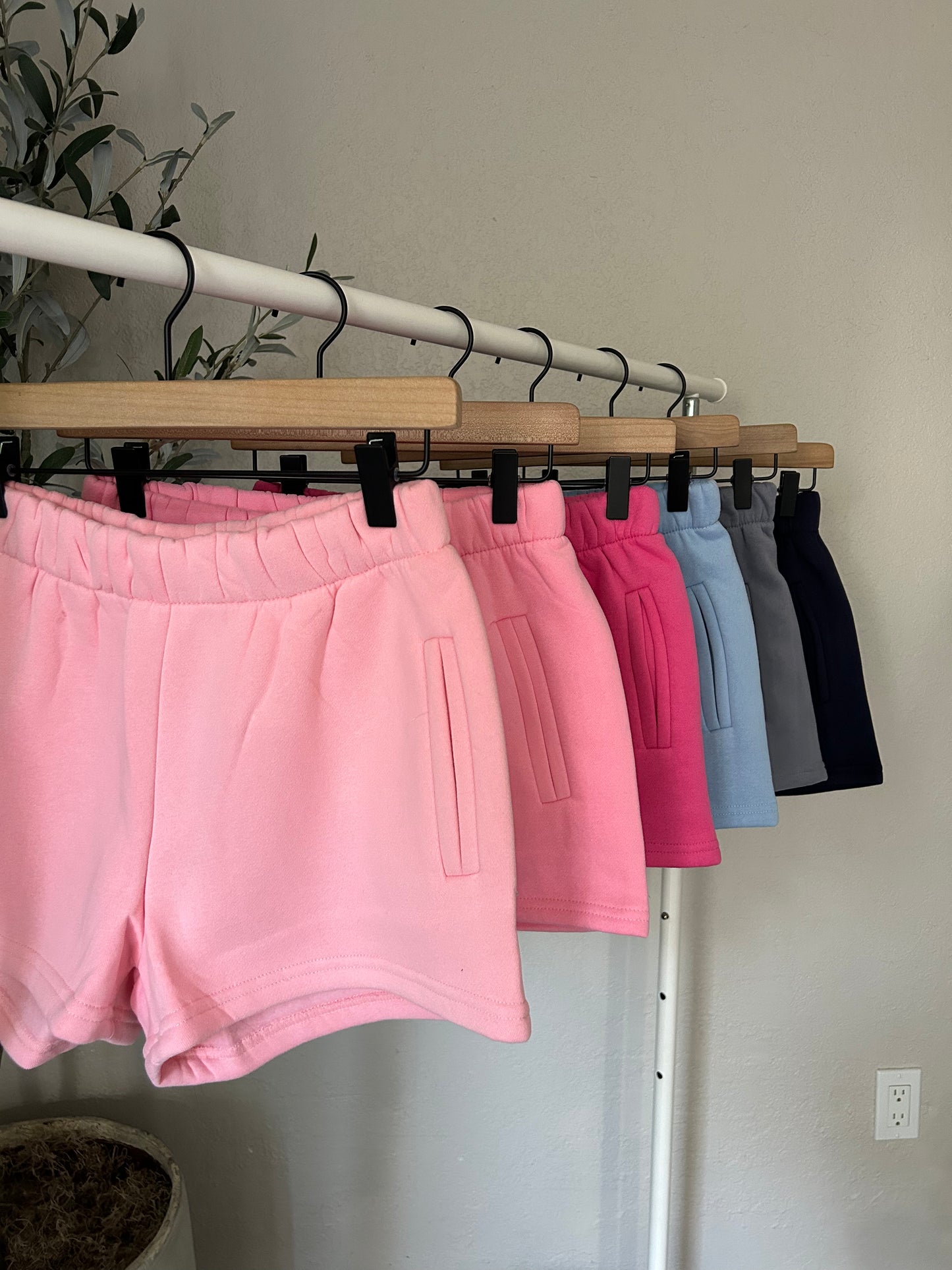 Ari Shorts (More Colors)