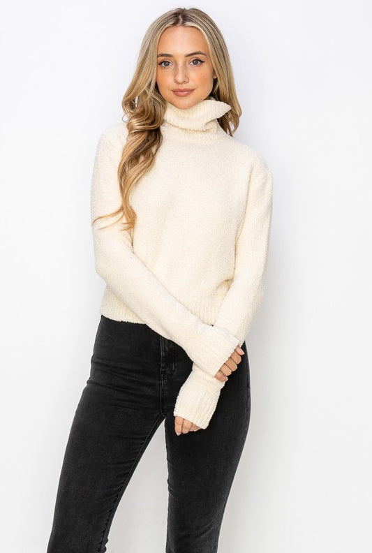 Darlene Turtle Neck Sweater (More Colors)