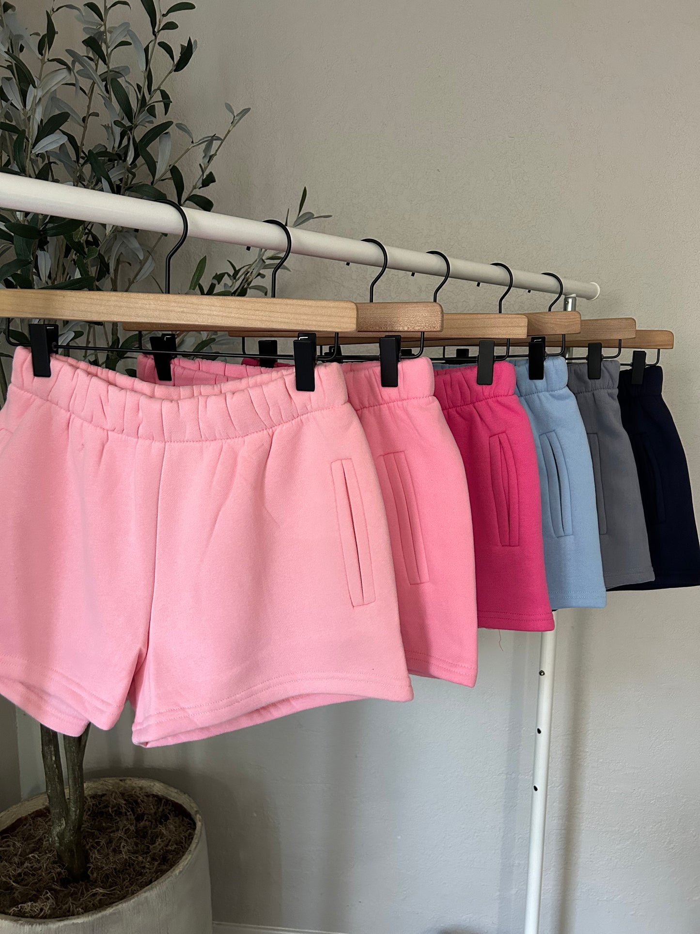 Ari Shorts (More Colors)