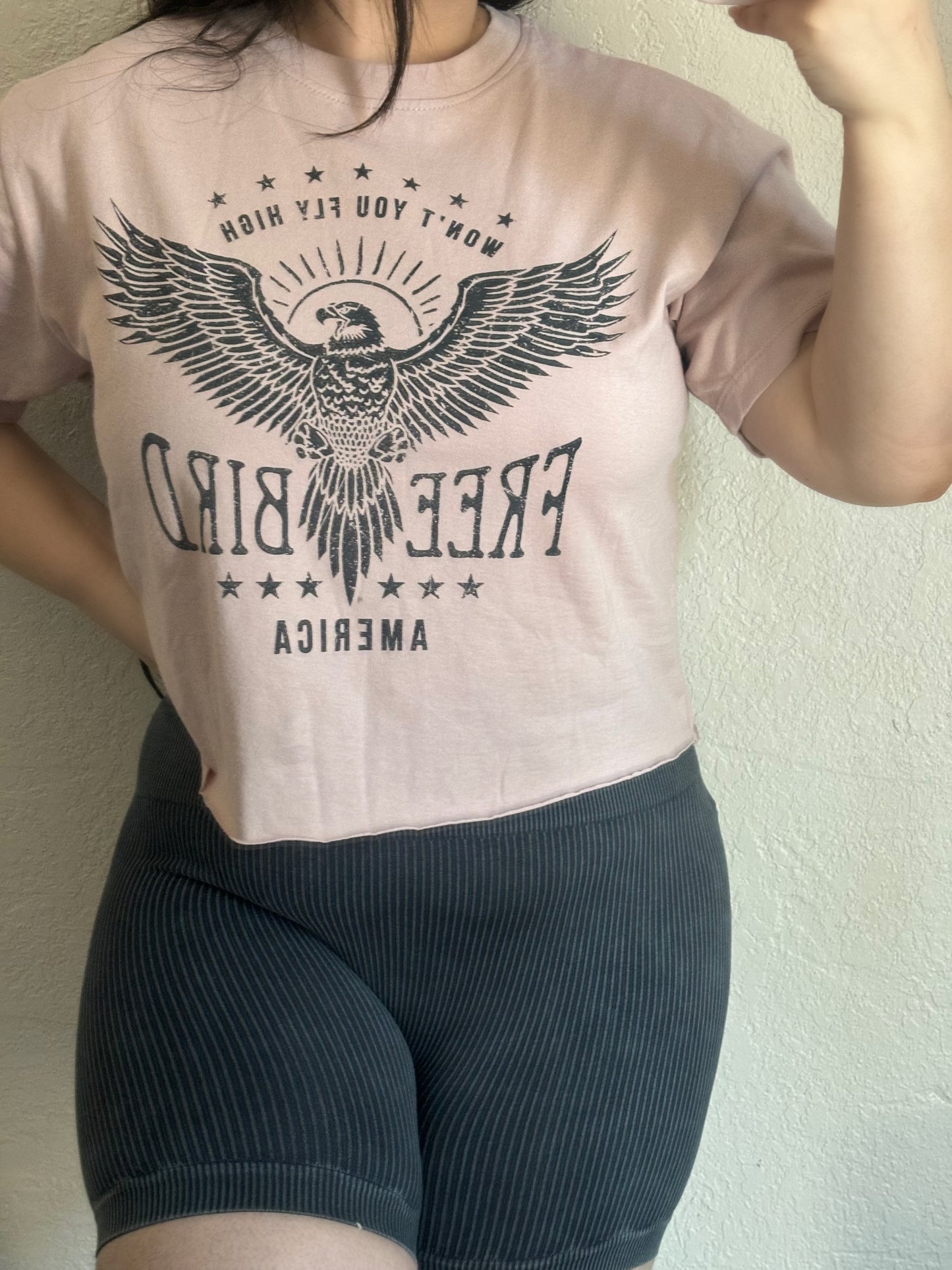 Rose Freebird Cropped Tee