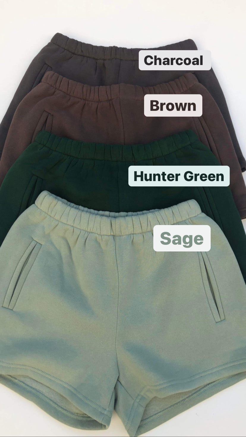 Ari Shorts (More Colors)